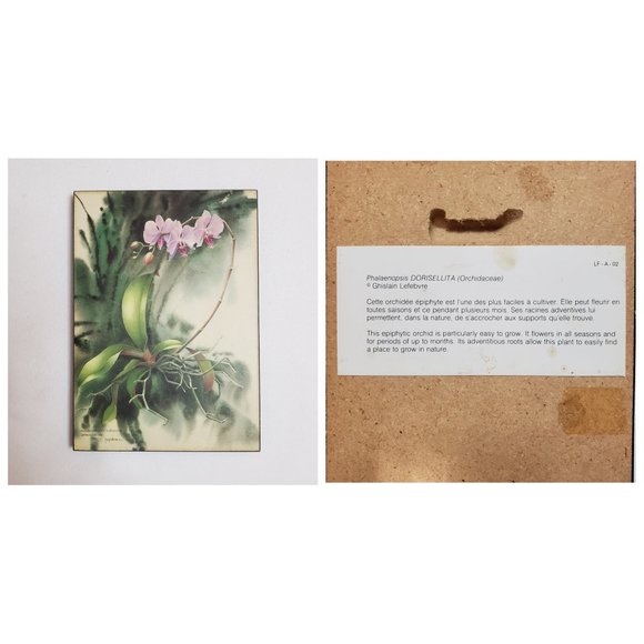 ART Botanical Floral Prints in Lavender Green Set of 3 - Picture 11 of 11